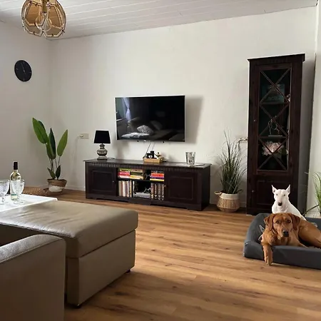 Eifel Lotti Holiday home