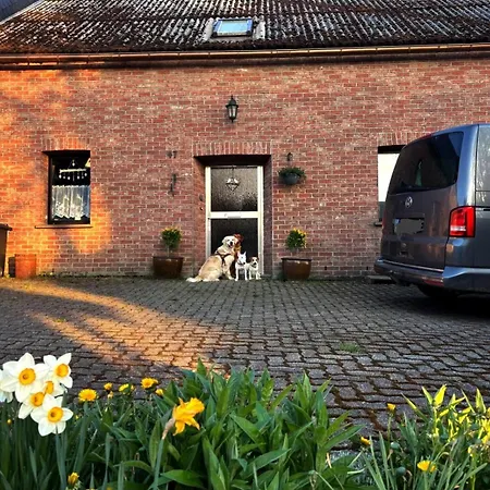 Eifel Lotti Holiday home Reuth