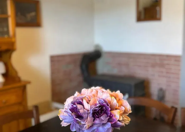 Eifel Lotti בית נופש *